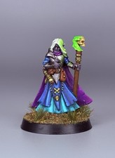 Elfo Oscuro Dipinto Mago Drow