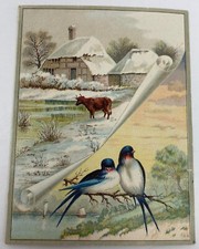 Amos H Van Horm Carpet