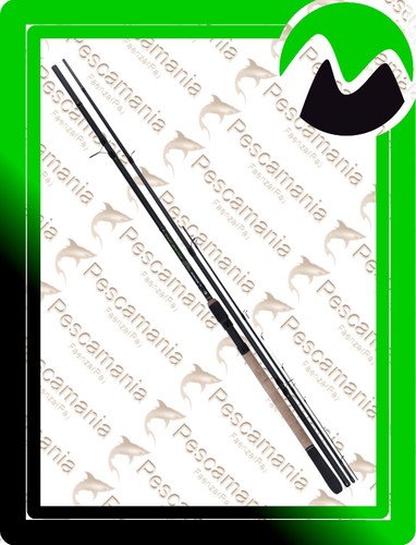 Canna bolognese maver - canna,
