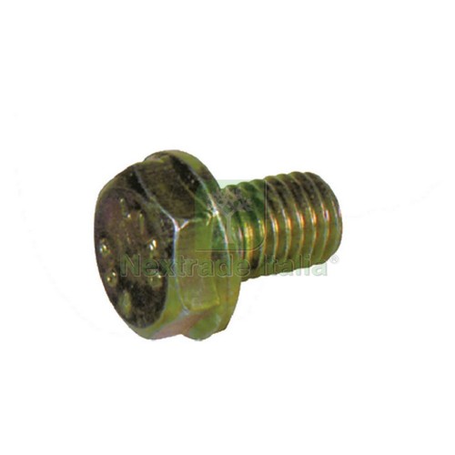 10pz vite per coppie - 10pz,