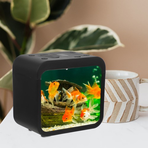 Mini acquario acquario