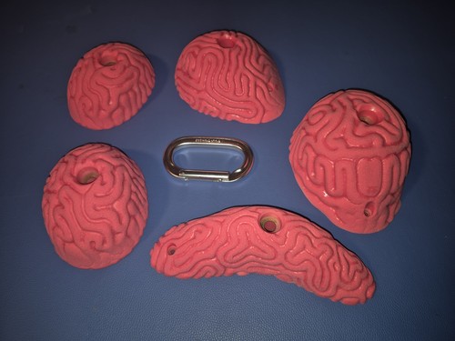 Atomik brain coral - coral, slopers