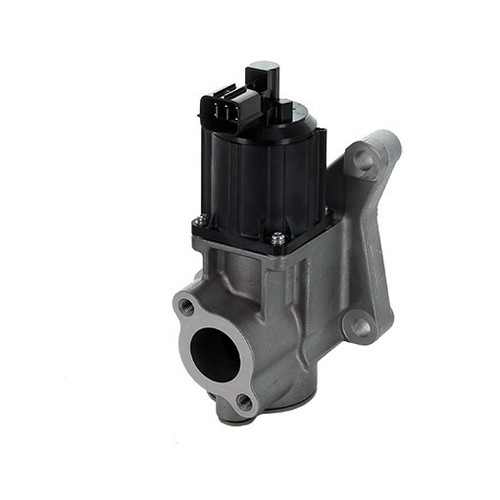 Valvola egr mv653g r2aa20300b - valvola,