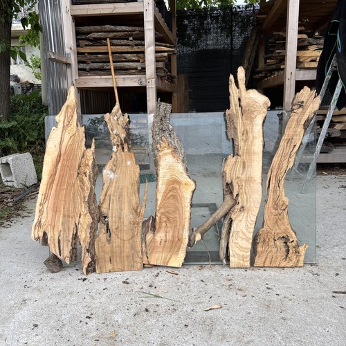 Tavole legno ulivo - di, 5