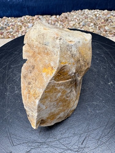 Fort payne chert - fort,