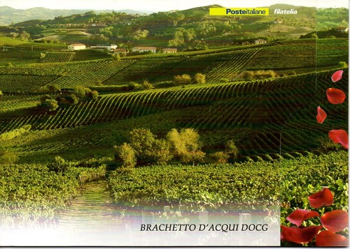 2016 italia repubblica - repubblica, folder