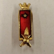 1137- Distintivo grado