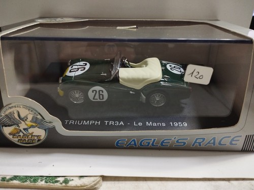 Eagle race triumph - race,