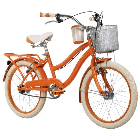 Bicicletta con cestino - con,