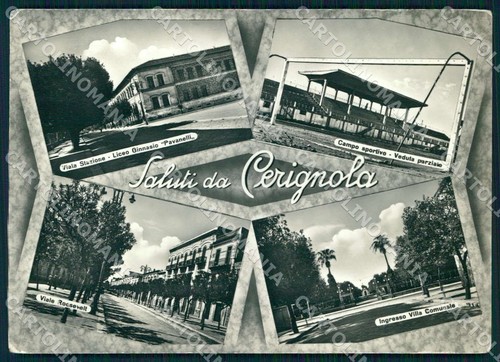 Foggia cerignola saluti - cerignola, da