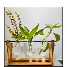 Stazione di Propagazione