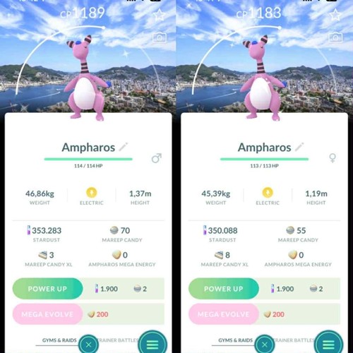 Pokémon ampharos lucido - -,