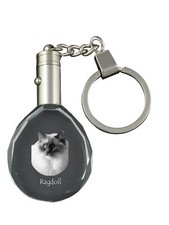 Ragdoll - Fob Con Gatto Foto