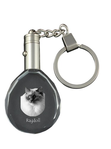 Ragdoll fob con gatto foto - -,