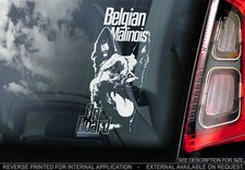 Adesivo auto belga Malinois -
