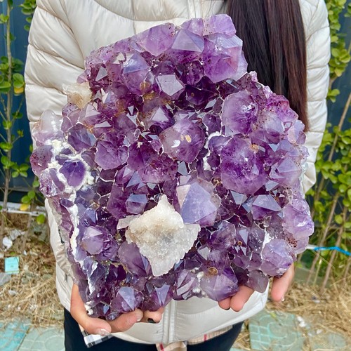 15lb ametista naturale - ametista, geode
