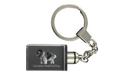 Cane da pastore del Caucaso