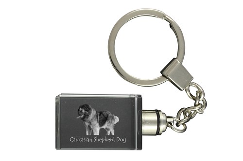 Cane pastore del caucaso - cane,