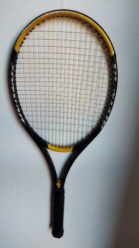 Dunlop 200g hot melt - dunlop,