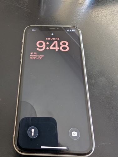 Iphone sbloccato 256gb - 11,