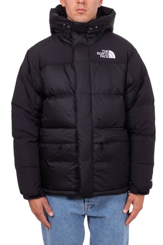 The north face parka - north,