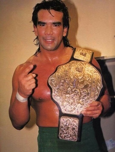 Wrestling superstars ricky - - ,