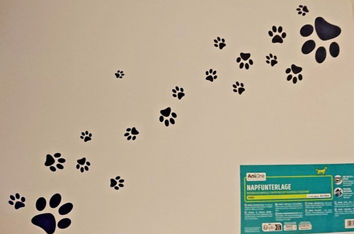 Set doppia ciotola acciaio - set,