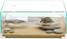 Tartarughiera in Vetro Con