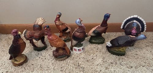 Austin nichols wild - wild, turkey