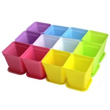 Set vaso da fiori piante in
