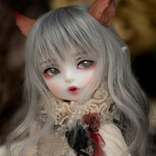 Set completo 6 bjd - set,