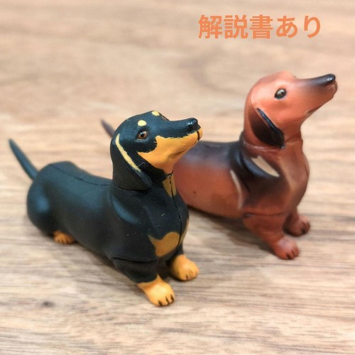 Kaiyodo choco bassotto uovo - choco,