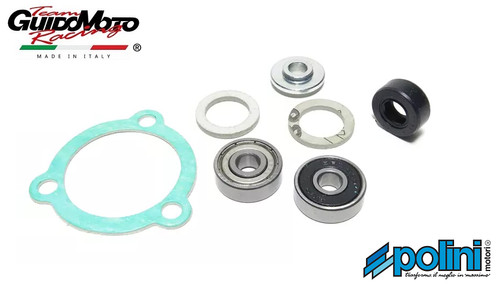 Revisione pompa acqua minimoto - acqua,