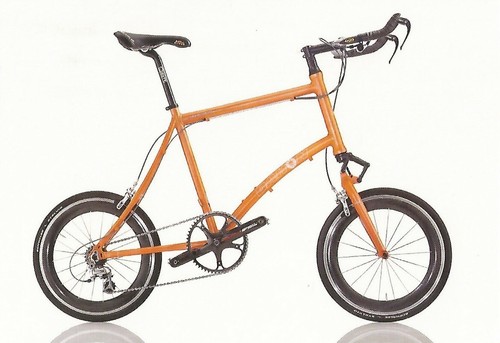 Cartolina dahon hammerhead - cartolina,