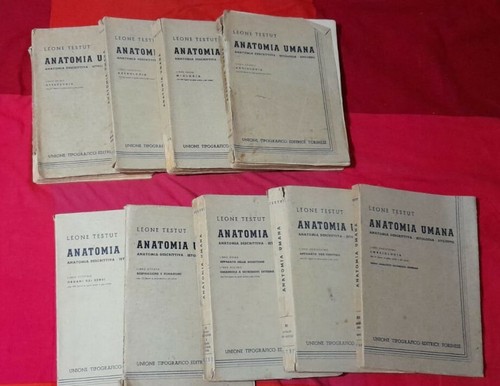Anatomia umana leone testut - leone,