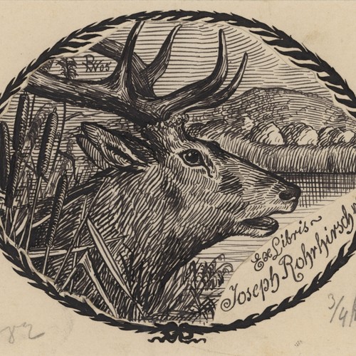Exlibris zeichnung tinte - exlibris,