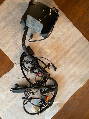 Bmw 1150r main wiring - bmw, r