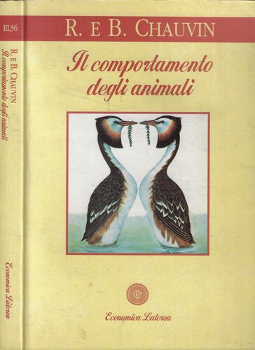 Comportamento degli - il,