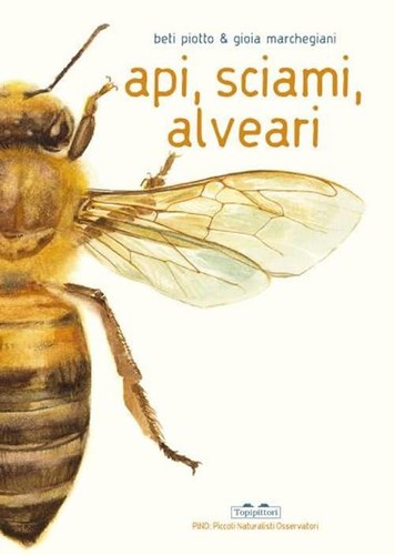 Libri piotto beti api - libri,