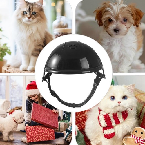 Casco scooter per animali - da,