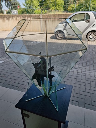 Acquario diamante pezzo - pezzo, unico