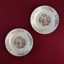 Antichi piatti Richard Ginori Mondovì con decoro Nankin - Primi '900