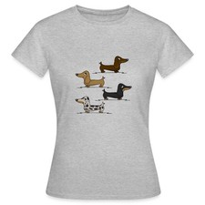 Bassotto bassotto cane regalo