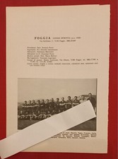 FOGGIA SQUADRA foglio/pagina tratto da almanacco calcio Panini 1971