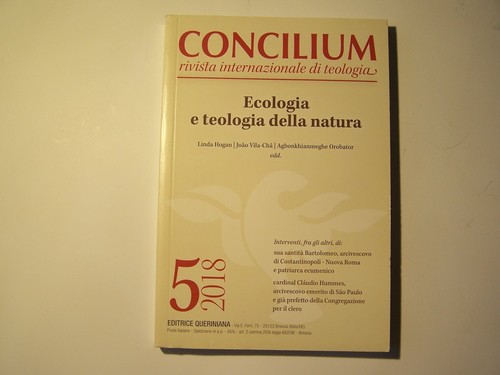 Libro concilium rivista - libro,