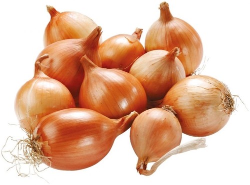 Bustina semi cipolla dorata - semi,