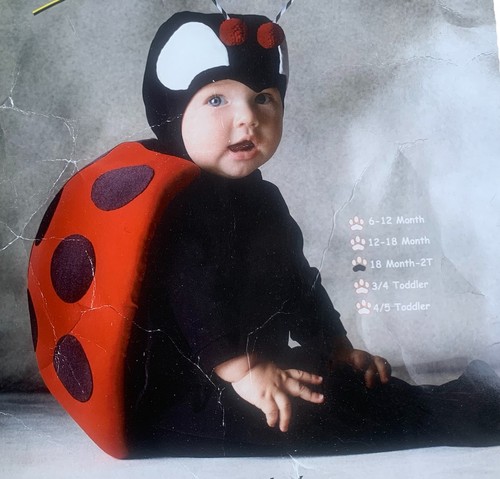 Costume coccinella tom arma - tom,