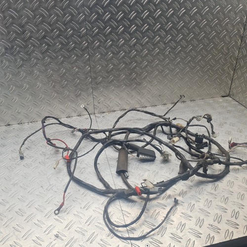 Cablaggio elettronica piaggio - cablaggio,