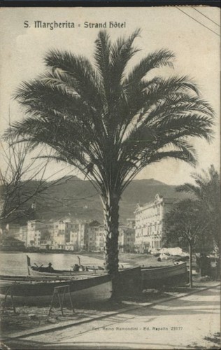 Hotel sulla spiaggia - , santa