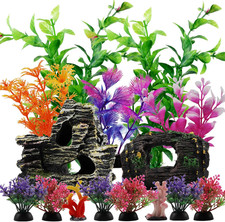 Piante Decorative per Acquari
